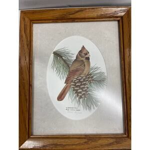 Lithography cardinal Female Nancy Shumaker Pallan #180/1000 Framed